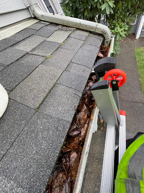 Gutter cleaning