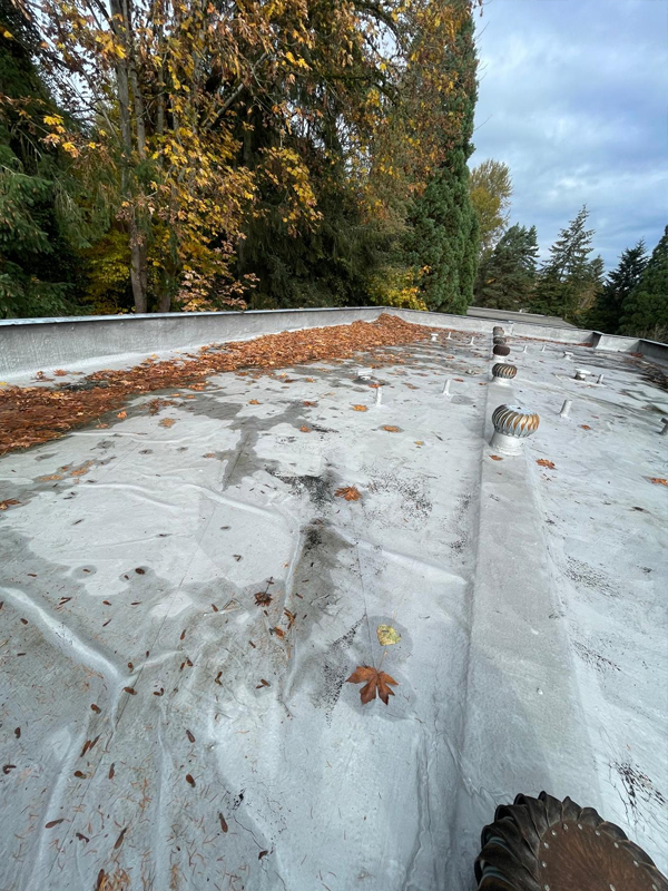 roof cleaning
