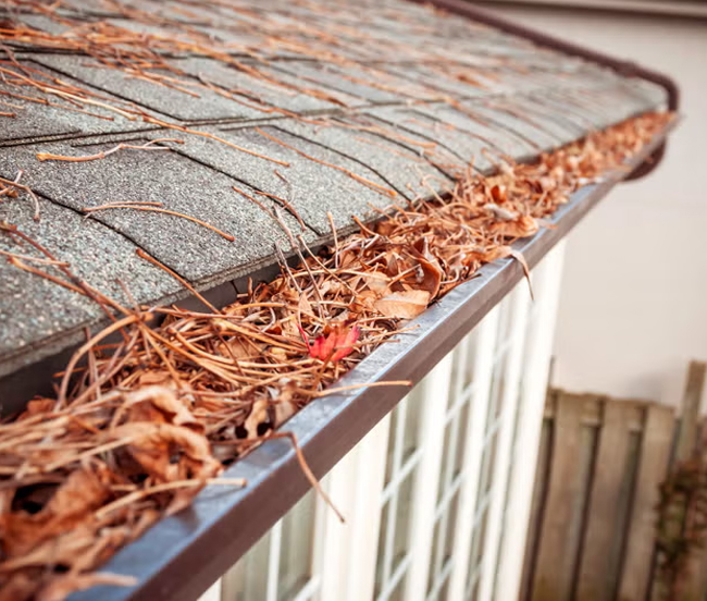 Our Gutter Cleaning Solution