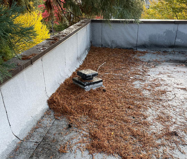 SAY GOODBYE TO Black Streaks